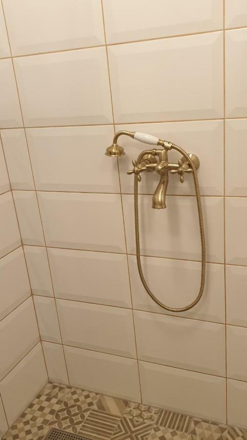 Rigas 20/1 Apartaments ツェーシス エクステリア 写真